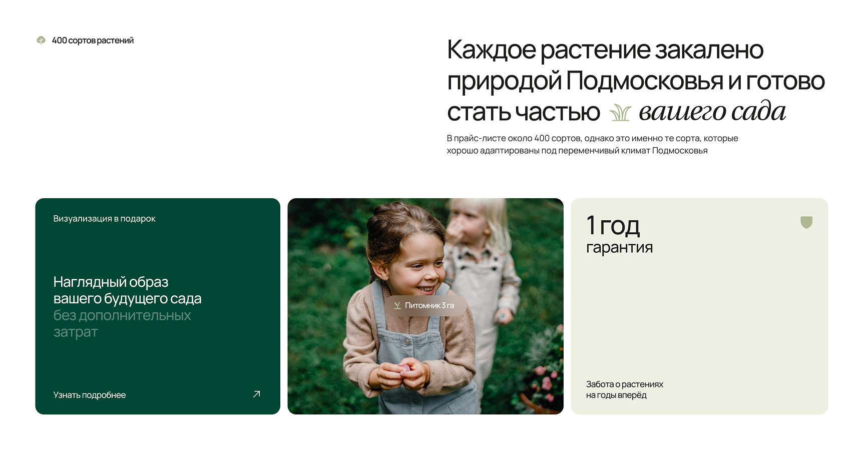 Изображение этапа Прототип проекта ПИТОМНИК ШВЕЦОВЫХ