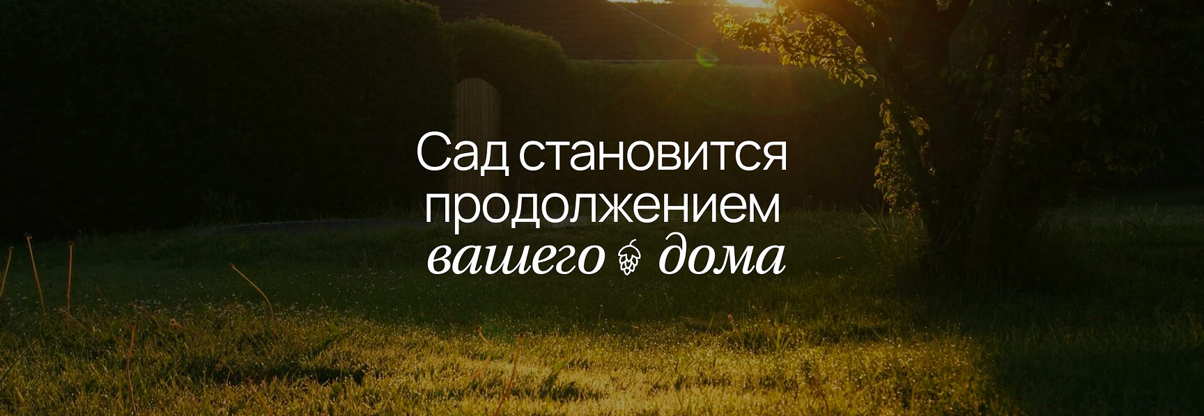 Изображение этапа Разработка проекта ПИТОМНИК ШВЕЦОВЫХ